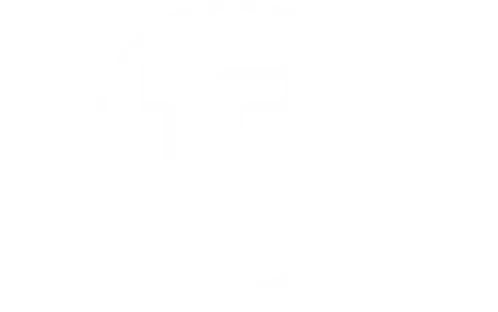 Dr.Scalp